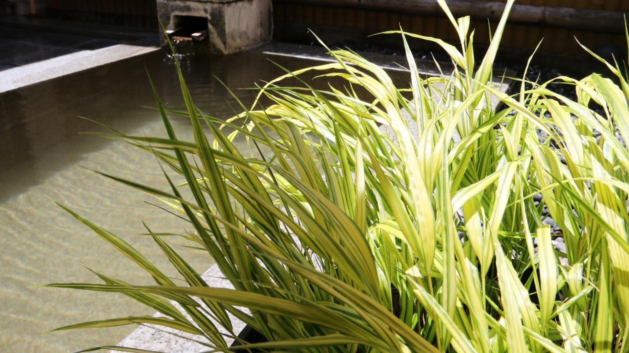Baigetsu Ryokan Shimosuwa Bagian luar foto